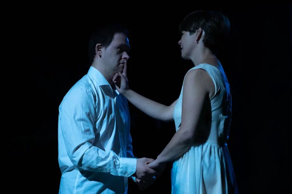 Чайки в вишнёвом саду